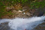 Ecouges 2 bas Canyoning Grenoble, Canyoning Lyon, Canyoning Chambéry, Canyoning Annecy, Vercors