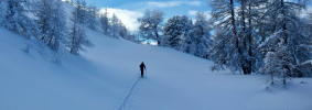 Ski de randonnée - Queyras