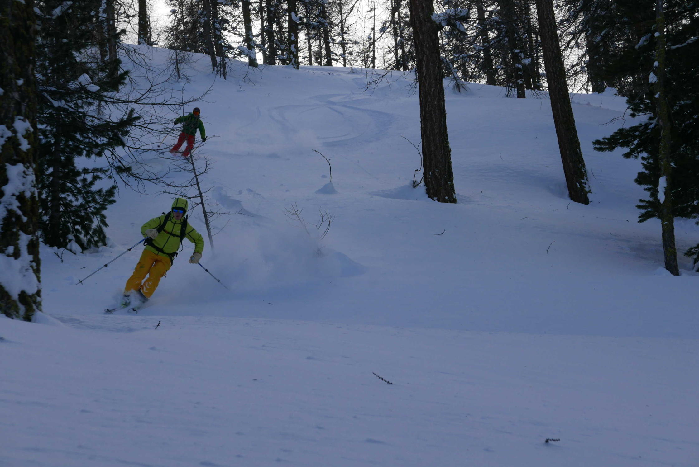 ski en forêt dans le queyras