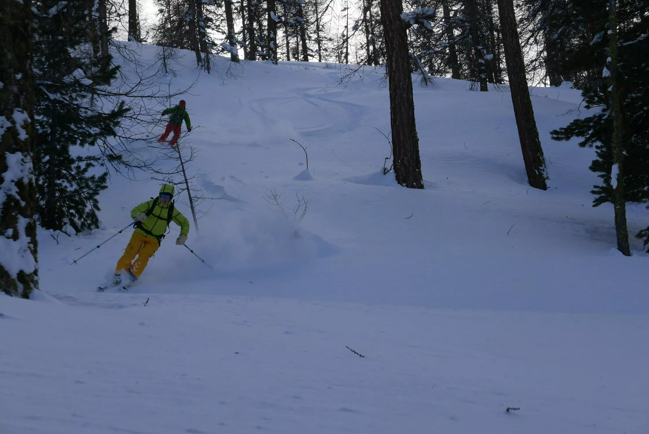 ski en forêt dans le queyras